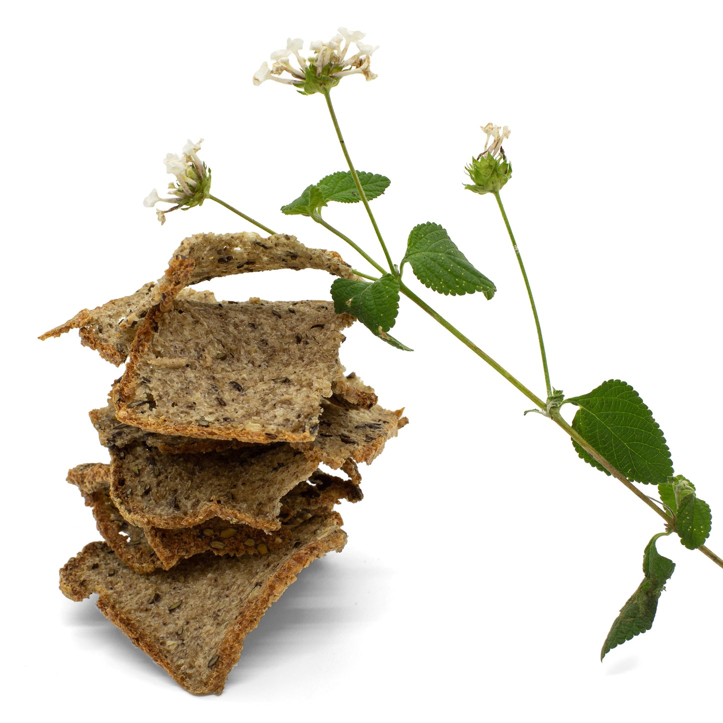 gluten free bread, whole grain bread, crisps, bread, buckwheat foods, buckwheat crisps, buckwheat bread, recipes, buckwheat flour, spelt crisps, gluten free, organic food